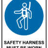 Mandatory Safety Harness