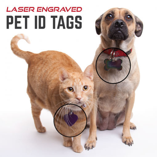 pet ID tags