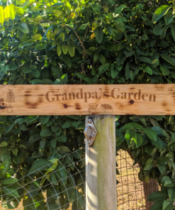 Grandpas garden