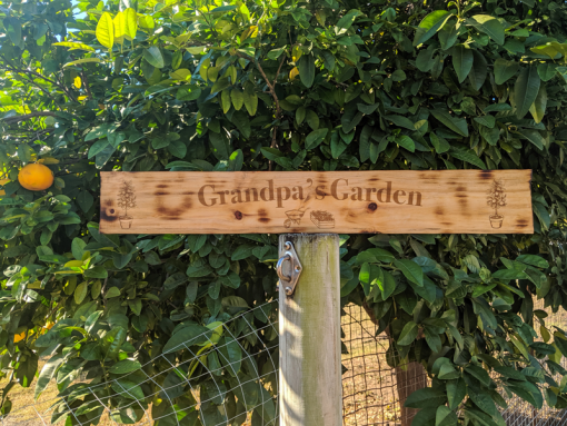 Grandpas garden