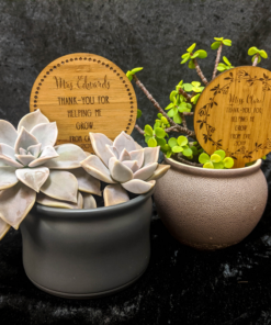 Plant stakes