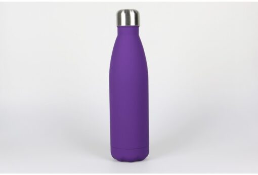Stainless Steel Water Bottle - Image 3