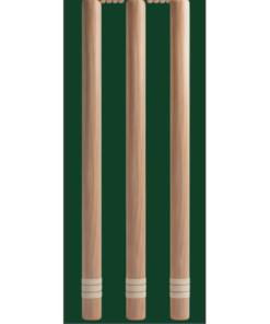 Wheelie Bin Cricket Stumps